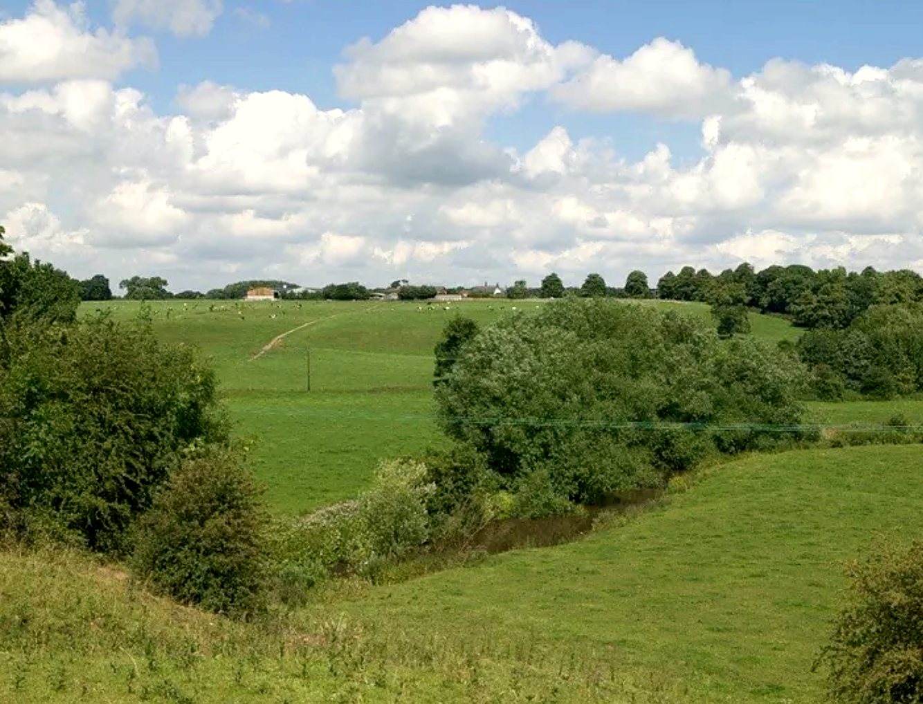 Rolling green Cheshire fields under a big blue sky